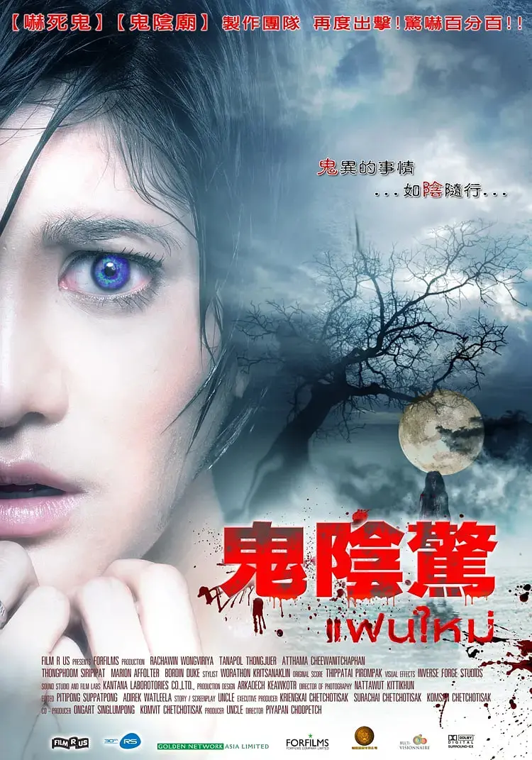 《新怨缠身》：被诅咒的老宅，解不开的谜团，胆小者慎入！