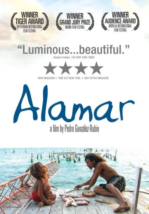 《拥抱大海》：潜入深蓝，感受生命的律动，一场治愈心灵的海洋之旅