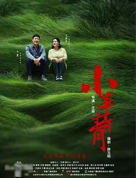 《小草青青》：岁月静好亦有风雨，平凡人生绽放坚韧生命之光