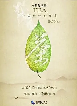 《茶，一片树叶的故事》：史诗级茶文化溯源，谁是真正的剧本继承人？